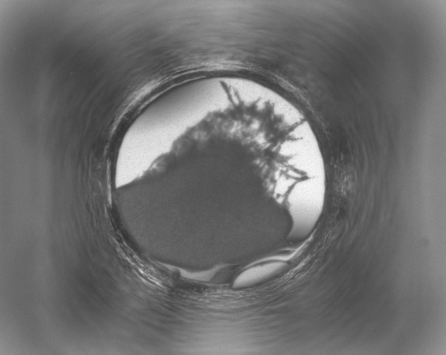 X0000058781171200510171245