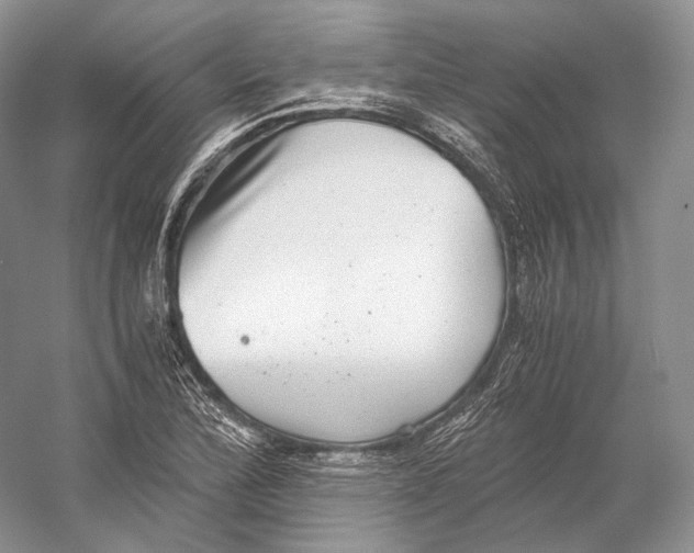 X0000058781172200510171245