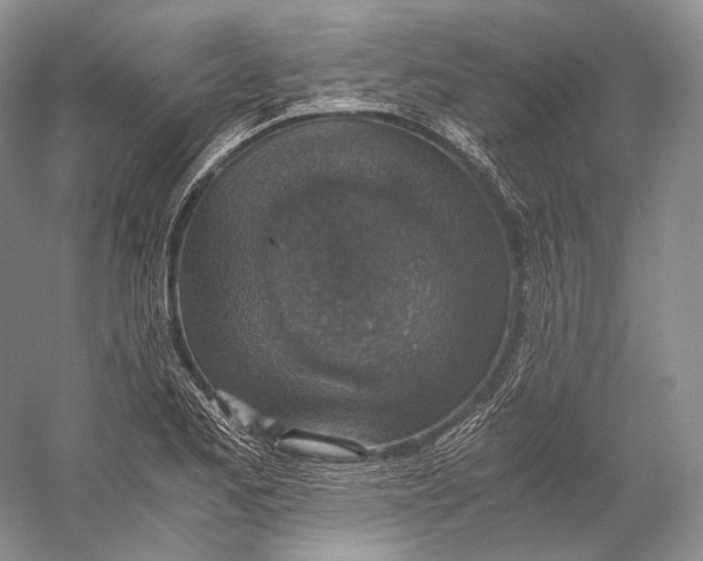 X0000058781173200510171245