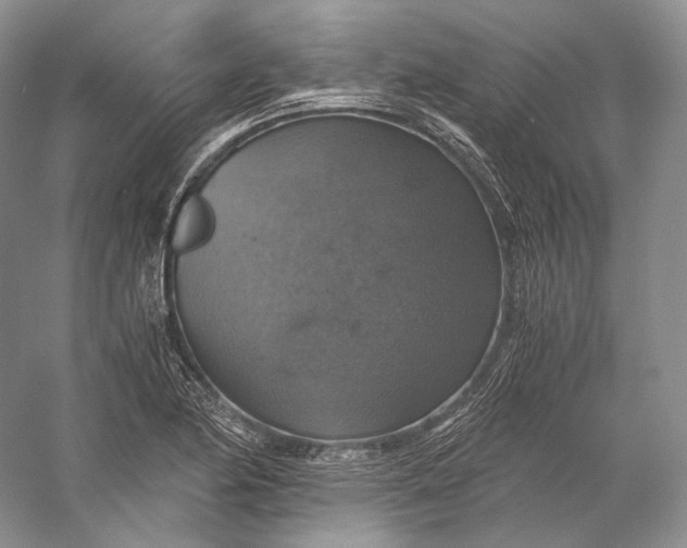 X0000058781174200510171245