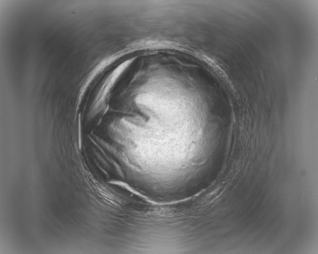 X0000058781175200510171245