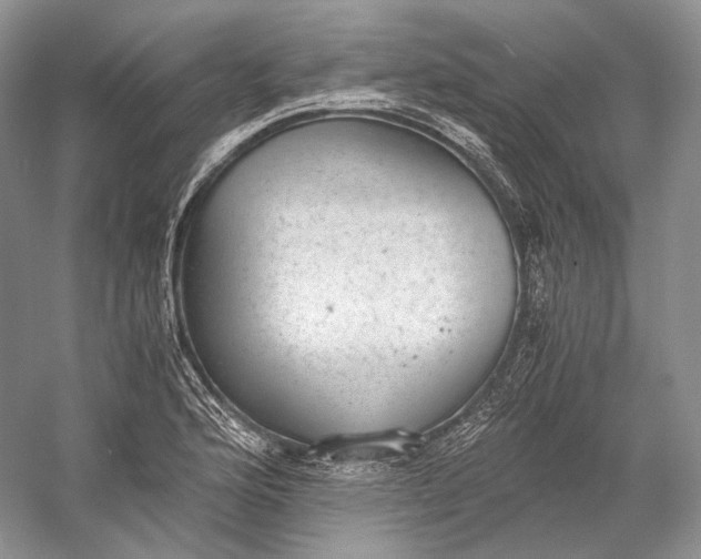 X0000058781176200510171245