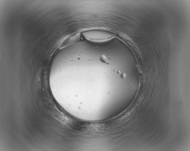 X0000058781177200510171245