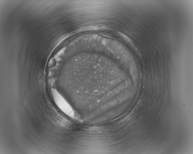 X0000058781178200510171245