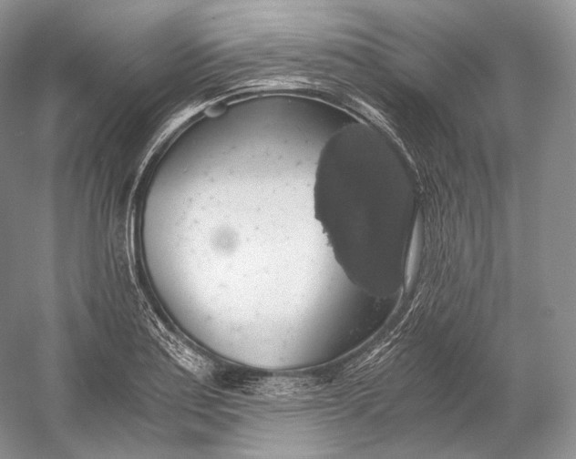 X0000058781179200510171245