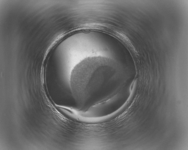 X0000058781180200510171245