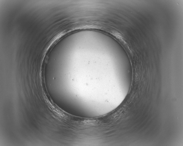 X0000058781181200510171245