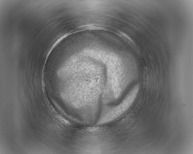 X0000058781182200510171245