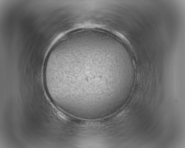 X0000058781183200510171245