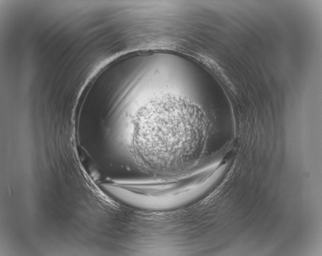 X0000058781184200510171245