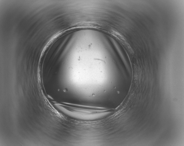 X0000058781188200510171245