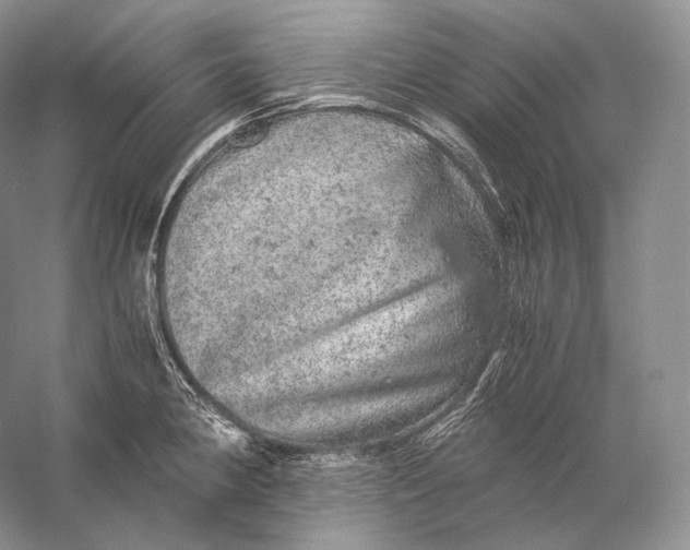 X0000058781190200510171245