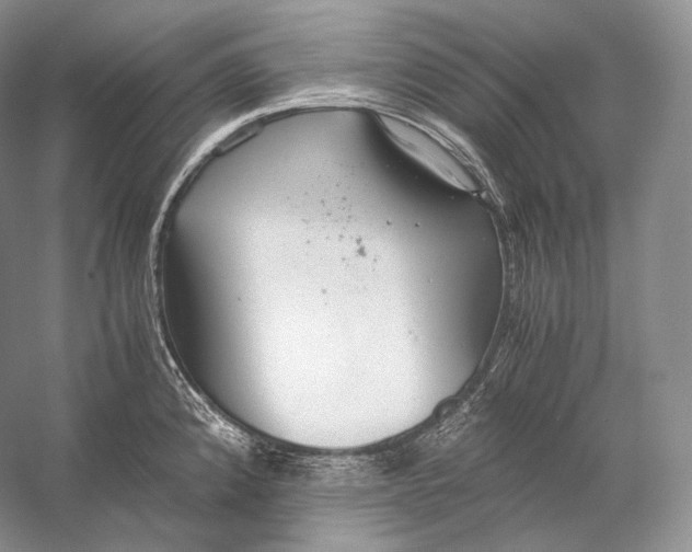 X0000058781192200510171245