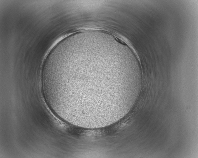 X0000058781195200510171245