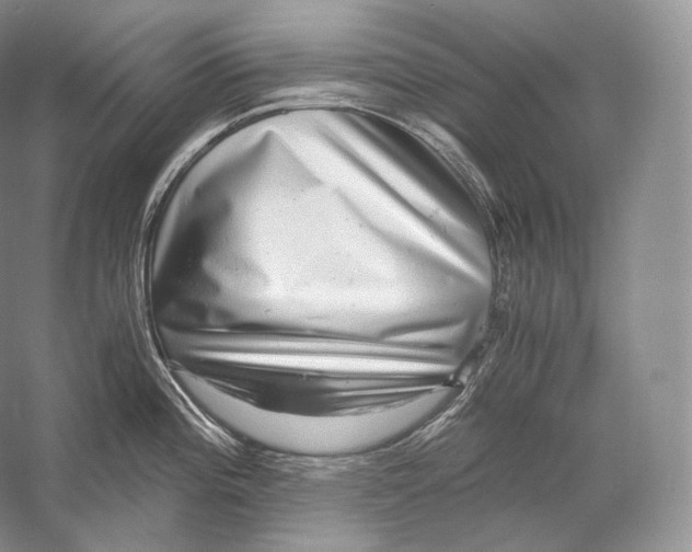 X0000058781196200510171245