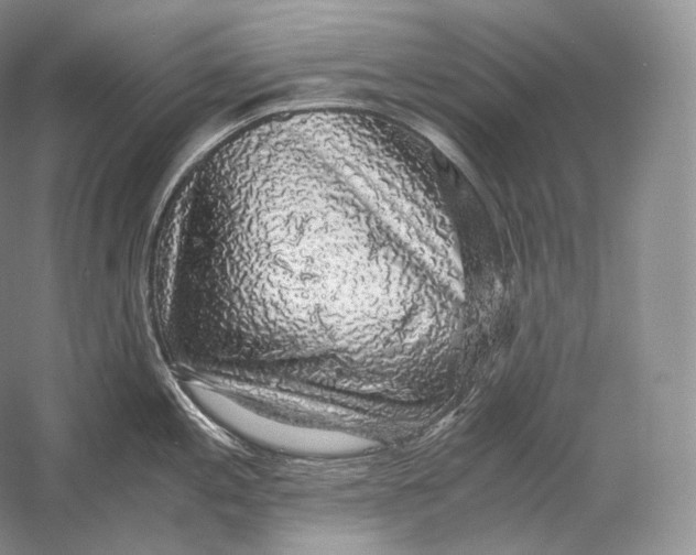 X0000058781197200510171245