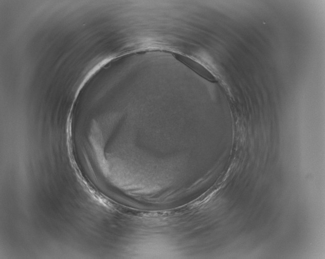 X0000058781198200510171245