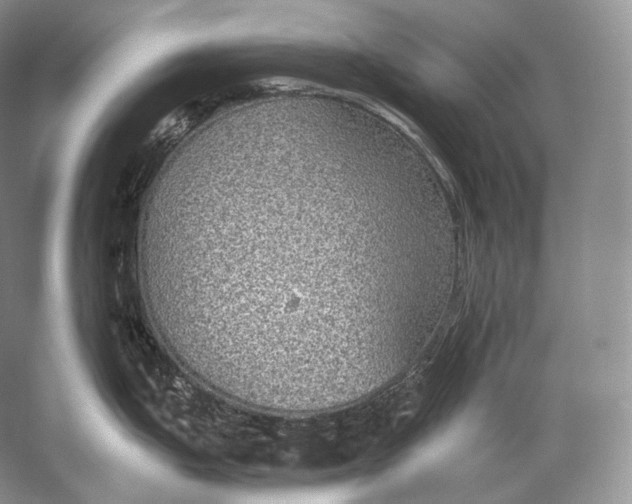 X0000058781199200510171245