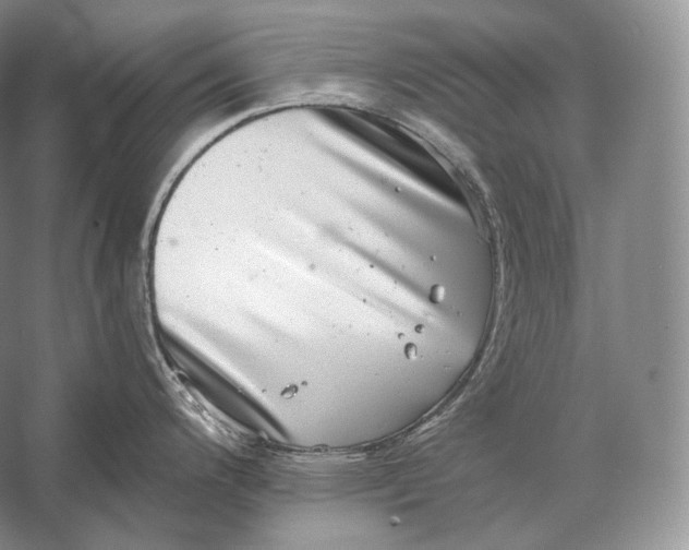 X0000058781200200510171245