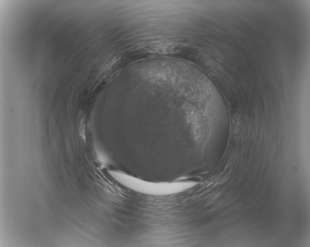 X0000058781202200510171244