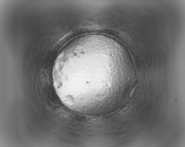 X0000058781205200510171244