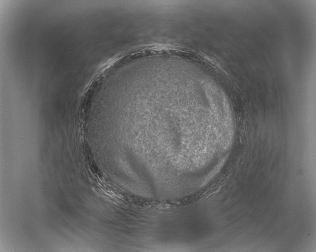 X0000058781207200510171244