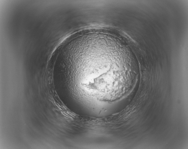 X0000058781208200510171244