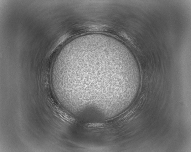 X0000058781211200510171244