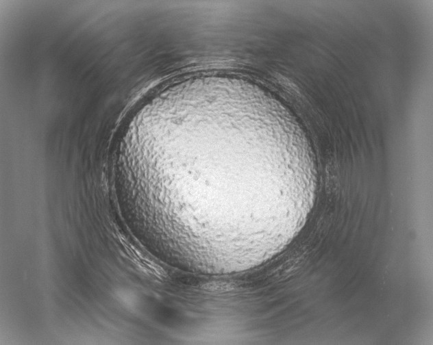 X0000058781212200510171244