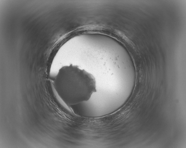 X0000058781213200510171244