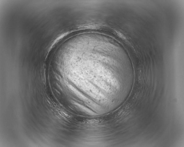 X0000058781214200510171244