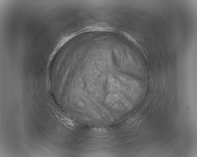 X0000058781215200510171244