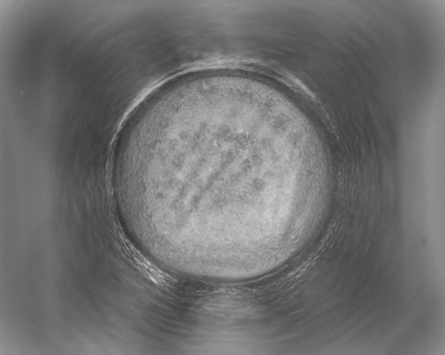 X0000058781216200510171244