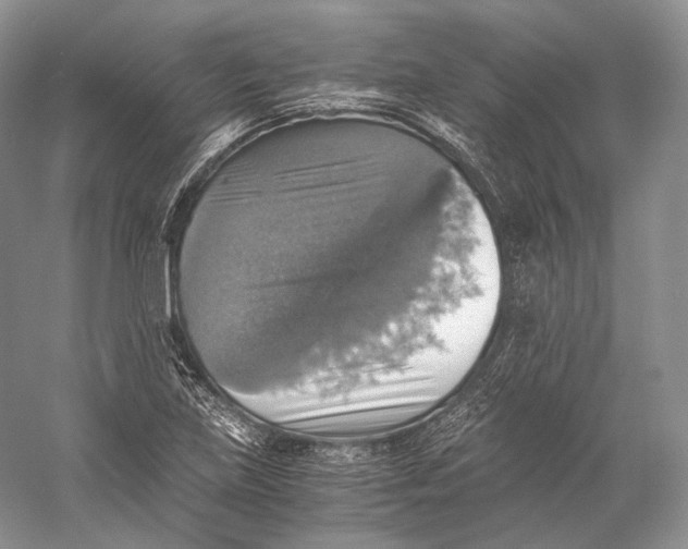 X0000058781219200510171244