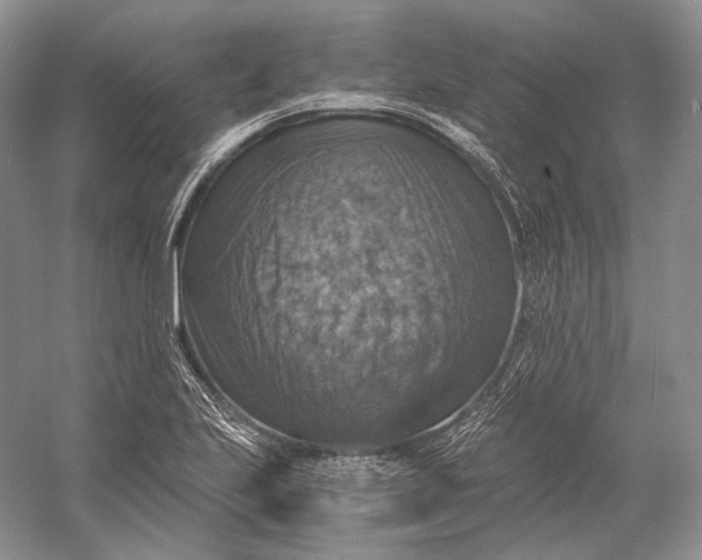 X0000058781223200510171244