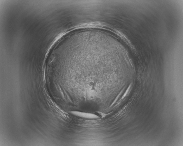 X0000058781224200510171244