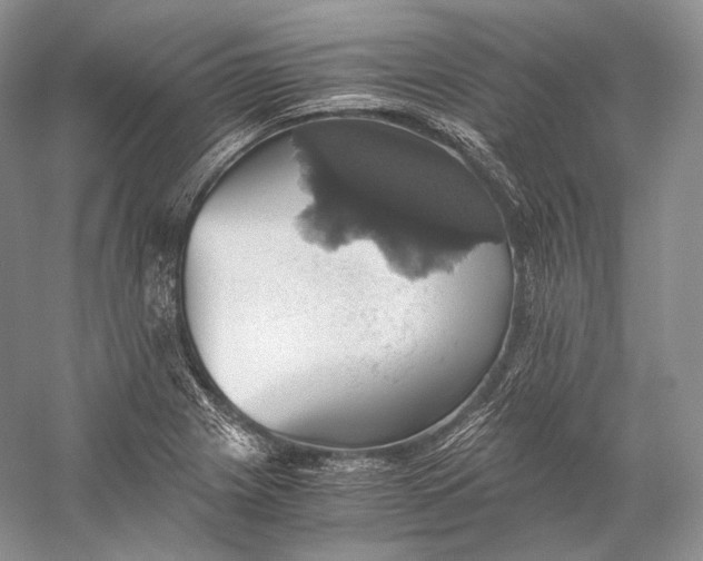 X0000058781225200510171244