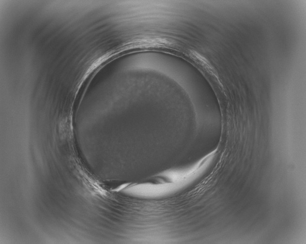 X0000058781226200510171244