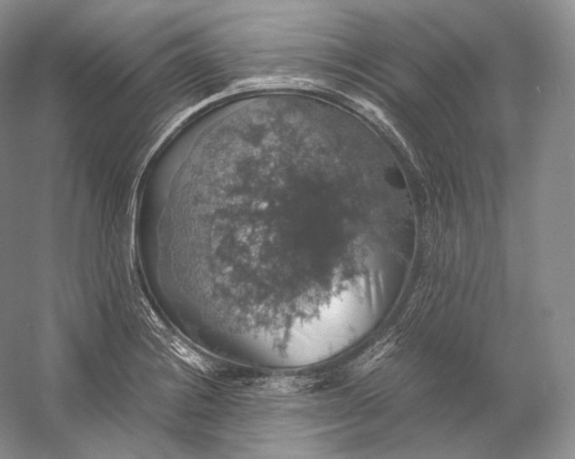 X0000058781228200510171244