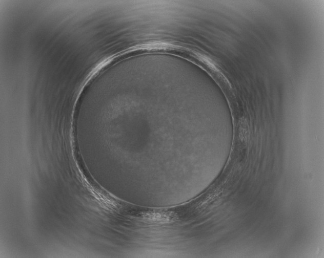 X0000058781229200510171244