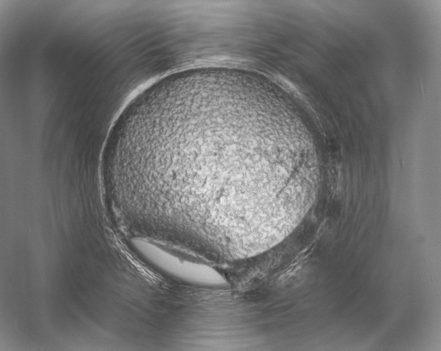 X0000058781230200510171244