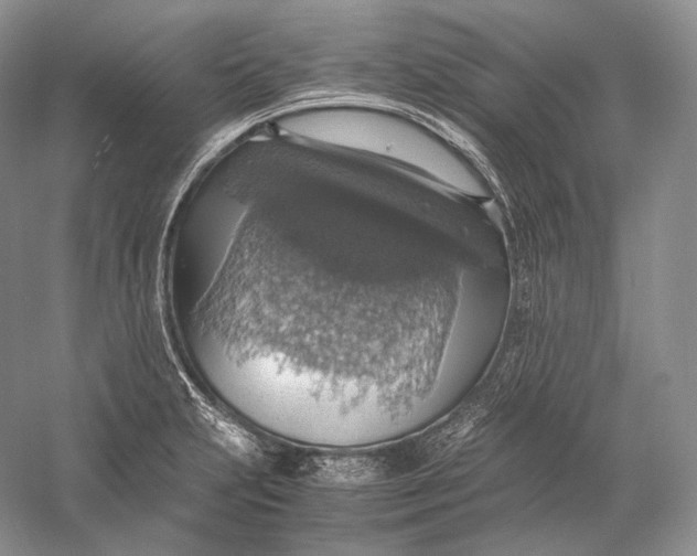 X0000058781231200510171244