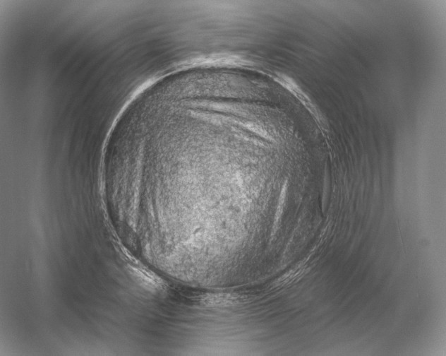 X0000058781232200510171244