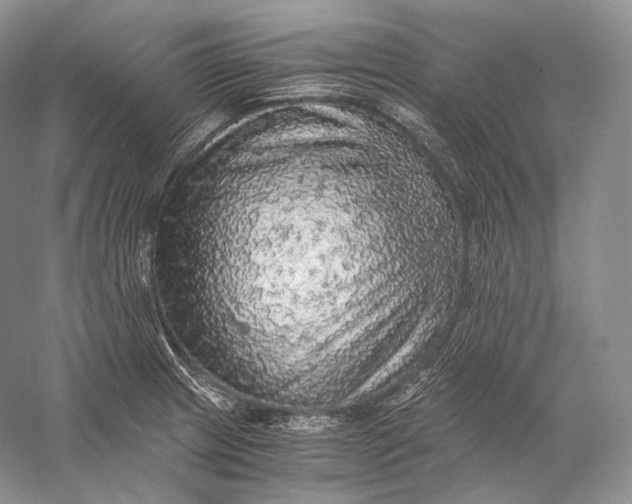 X0000058781233200510171244