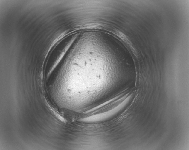 X0000058781234200510171244