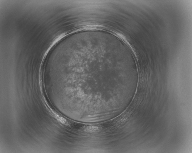 X0000058781235200510171244