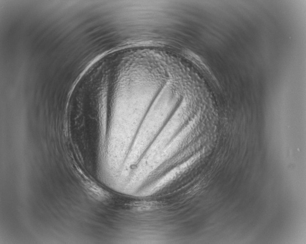 X0000058781236200510171244