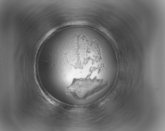 X0000058781237200510171244