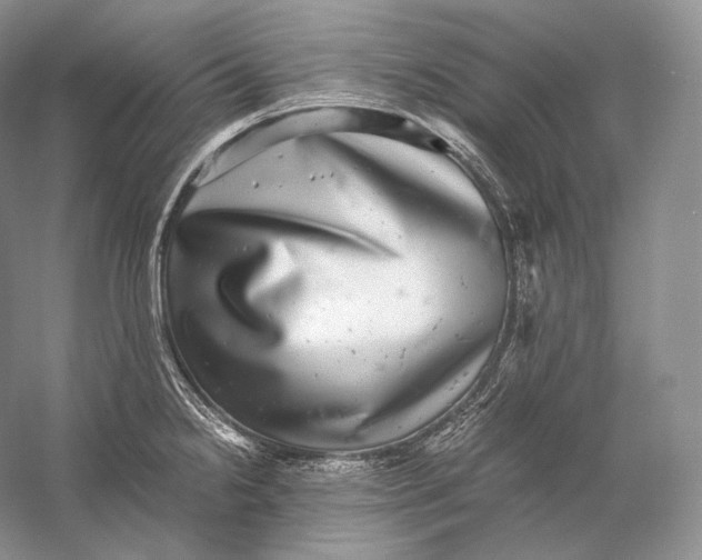 X0000058781238200510171244