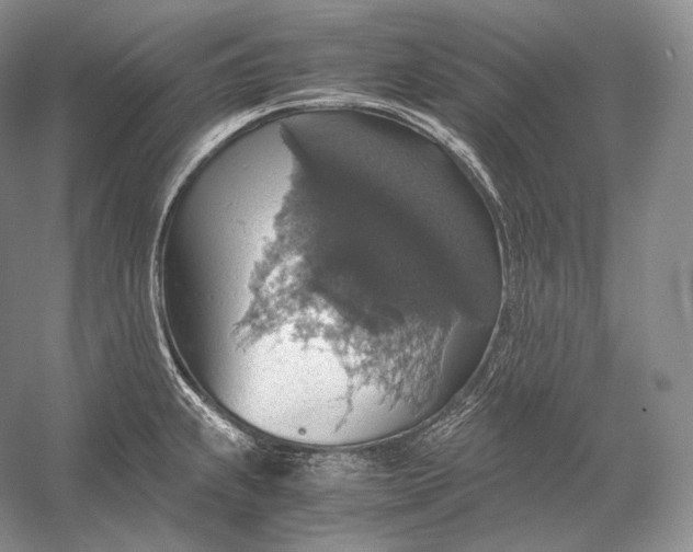 X0000058781239200510171244